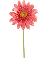 Gerbera artificial 55 cm rosa