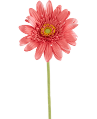 Gerbera artificial 55 cm rosa