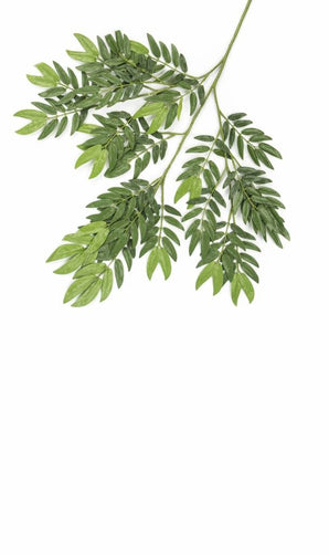 Hoja artificial Ming Aralia 50 cm verde ignífuga