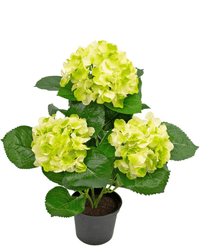 Hortensia Artificial Verde 35 cm