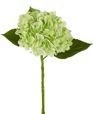 Hortensia artificial "Annabelle" Real Touch Verde 55cm