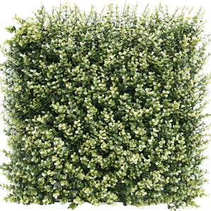 Jardín vertical Boj beige 50x50 cm UV