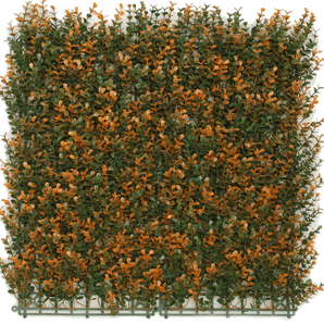 Jardín vertical Boj naranja 50x50 cm UV
