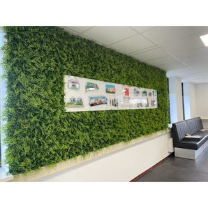 Jardín vertical Easyplants helecho/conífera 50x50 cm