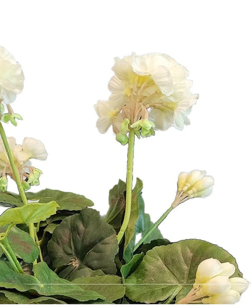 Un primer plano del Geranio Artificial de 40 cm blanco, con flores artificiales de color blanco claro con hojas verdes sobre un fondo liso blanco.