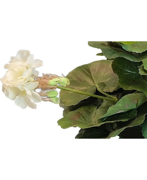 El geranio artificial blanco de 40 cm tiene flores de color blanco claro, capullos verdes y hojas grandes y redondas: una belleza fresca y natural como acento de planta artificial, especialmente llamativa sobre un fondo blanco.