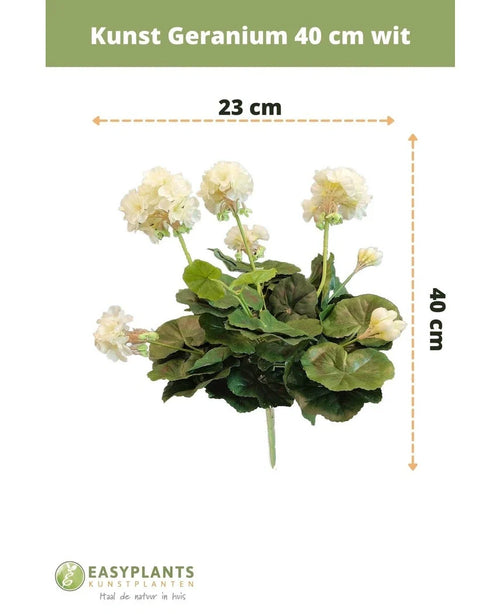 Geranio artificial 40 cm blanco: planta artificial con hojas verdes, altura 40 cm y ancho 23 cm, bellamente expuesta sobre un fondo blanco con dimensiones claras.
