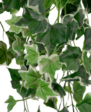 Primer plano de Hiedra Artificial de 130 cm verde/blanco, con hojas de hiedra artificial con formas detalladas, patrones de vetas y diferentes tonos de verde con bordes blancos sobre un fondo blanco.