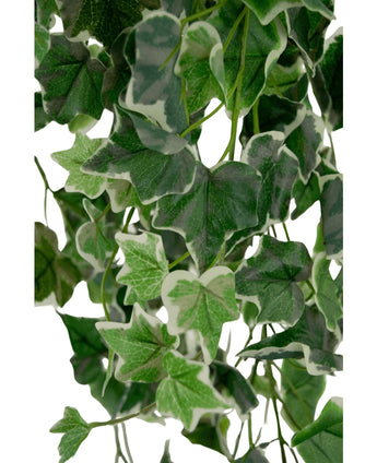 Primer plano de hiedra artificial de 70 cm verde/blanco con hojas verdes y bordes con borde blanco, con énfasis en el follaje artificial denso y los patrones de hojas de aspecto natural sobre un fondo claro.