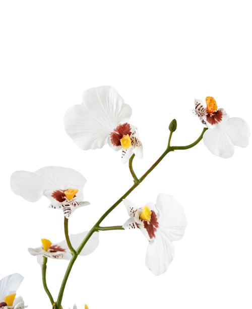 Un primer plano del Oncidium artificial Real Touch 48 cm blanco muestra las delicadas flores de orquídeas blancas con centros amarillos y marrones sobre un fondo blanco liso.