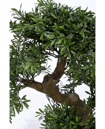 Close-up van Kunst bonsai boompje 70 cm in pot, met een dikke, gedraaide stam en dicht donkergroen blad, elegant weergegeven tegen een effen witte achtergrond.