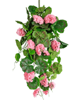 La Planta colgante artificial Geranio 75 cm rosa tiene hojas verdes artificiales y flores de geranio rosa que caen, perfectas como decoración colgante sobre un fondo blanco.