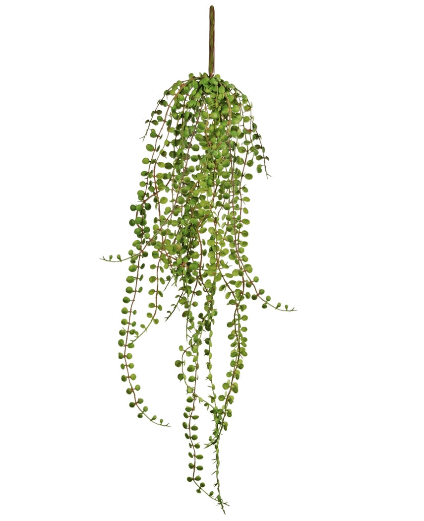 La Planta Suculenta Artificial Colgante de 71 cm tiene tallos verdes largos y colgantes con hojas pequeñas y redondas, perfectas para exhibir sobre un fondo blanco.