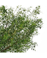 De Kunst olijfboom 270 cm met olijven heeft smalle groene bladeren en donkere olijven, waardoor het de perfecte kunstplant is om een elegante olijfboom binnen look in je ruimte te brengen.