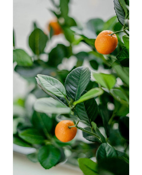 Detalle del Naranjo artificial de 120 cm, con hojas de color verde vibrante y pequeños frutos de color naranja. El fondo suavemente descolorido acentúa los colores realistas de esta planta artificial decorativa.