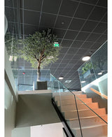 Een moderne binnentrap met glazen leuningen leidt naar een overloop met daarop de Kunst Olijfboom met olijven (270 cm) in een grote pot, geplaatst onder een plafond met rasterpatroon, inbouwverlichting en een zichtbaar groen nooduitgangbord.