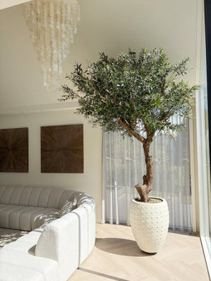 Un olivo artificial sin olivos de 270 cm se encuentra junto a un gran ventanal en un luminoso y moderno salón con un sofá blanco curvo, dos obras de arte en la pared, visillos y una lámpara de araña decorativa. Este acento de bajo mantenimiento proporciona una exuberante vegetación sin la molestia del mantenimiento diario.