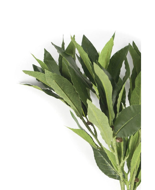 La Hoja de Laurel Artificial 50 cm verde tiene hojas verdes frescas en ramas sobre un fondo blanco, lo que la hace perfecta para añadir la elegancia de las flores artificiales a cualquier decoración.