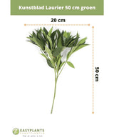 Kunstblad Laurier 50 cm groen kunstbloemen decor, 50 cm hoog en 20 cm breed, afgebeeld op witte achtergrond met afmetingen. Perfect voor elk interieur. Easyplants logo onderaan.