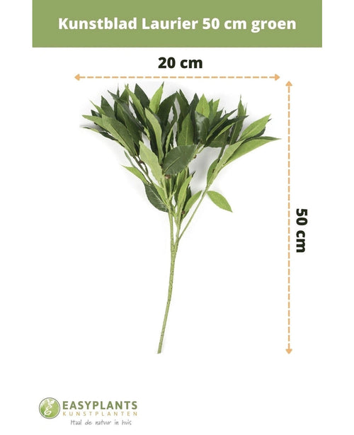 Hoja de Laurel artificial Decoración de flores artificiales verdes de 50 cm, 50 cm de alto y 20 cm de ancho, mostrada sobre fondo blanco con dimensiones. Perfecto para cualquier interior. Logotipo Easyplants en la parte inferior.