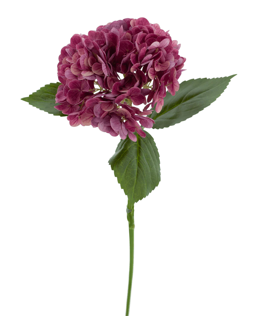 La Flor Artificial Charlotte Hydrangea Real Touch violeta 55 cm tiene un único tallo de hortensia violeta con varios pétalos pequeños y hojas verdes, sobre un fondo blanco liso.