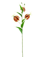 Kunstbloem Gloriosa Real Touch Rood 75 cm