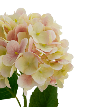 Kunstbloem Hortensia Real Touch Roze 58 cm