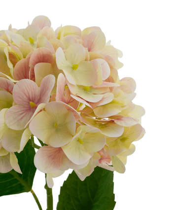 Kunstbloem Hortensia Real Touch Roze 58 cm