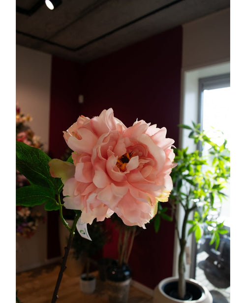 Un primer plano de la flor artificial Peonía de 61 cm de color rosa suave, expuesta en el interior con hojas verdes y plantas en macetas al fondo, bañada por la luz natural de la ventana.