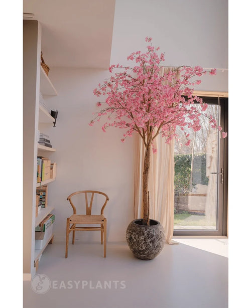 El árbol de cerezo artificial rosa de 240 cm con flores rosas se encuentra cerca de una ventana en una habitación moderna y luminosa. Cerca hay una silla de madera, con estanterías a la izquierda y la luz del sol entrando a través de las cortinas transparentes.