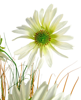 Un primer plano de la maceta de césped artificial con crisantemo y cebolla de 90 cm retardante de fuego, con una flor blanca parecida a una margarita con un corazón verde en medio de finos tallos verdes y marrones parecidos a la hierba, todo sobre un fondo blanco.