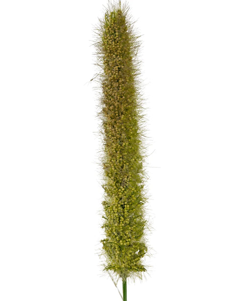 Un primer plano de la maceta de hierba de cebolla artificial de 150 cm retardante de fuego muestra su cabeza de semilla de cola de zorra verde, vertical y realista, con cerdas pequeñas y semillas densas sobre un fondo blanco liso.