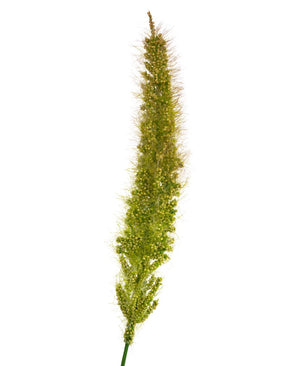 Un primer plano de la maceta de hierba de cebolla artificial de 90 cm retardante de fuego que muestra su densa y esponjosa cabeza de semilla de hierba artificial con cerdas finas, aislada sobre un fondo blanco.