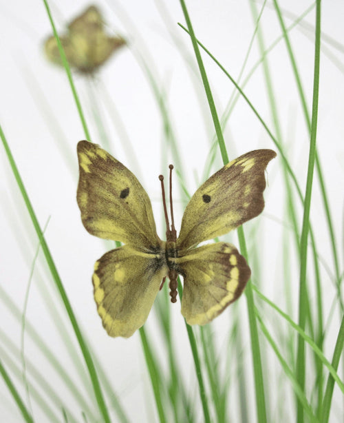 Una maceta de césped artificial con forma de mariposa y cebolla de 90 cm retardante de fuego muestra una mariposa amarilla y marrón descansando sobre finas hojas verdes, con otra mariposa tenue en el fondo pálido.