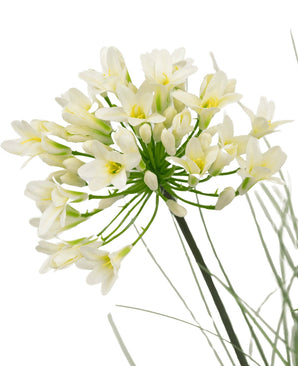 Un primer plano de la maceta de césped artificial Agapanthus blanco de 90 cm con retardante de fuego muestra delicadas flores blancas con un centro amarillo sobre largos tallos verdes, rodeadas de hojas tenues, sobre un fondo blanco liso.