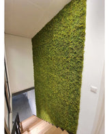 Een trap met houten treden loopt langs een groene muur bekleed met Kunsthaag Nordic Mos 50x50 cm UV, en voegt een natuurlijk, gestructureerd element toe aan de witte muren en het moderne, minimalistische luxe interieur van de ruimte.