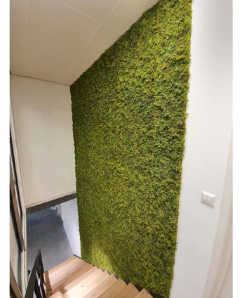 Een trap met houten treden loopt langs een groene muur bekleed met Kunsthaag Nordic Mos 50x50 cm UV, en voegt een natuurlijk, gestructureerd element toe aan de witte muren en het moderne, minimalistische luxe interieur van de ruimte.