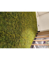 Een luxe interieur met een verticale groene muur van Kunsthaag Nordic Mos 50x50 cm UV, weelderig naast een moderne houten val. De schuine afbeelding benadrukt de rijke tekst van de mos en een deel van een deuropening erboven.