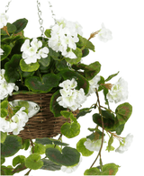 De Kunst begonia Wit in Mand UV 70cm heeft weelderige groene bladeren en witte bloemen in een hangende gevlochten mand, opgehangen aan een metalen ketting tegen een witte achtergrond.