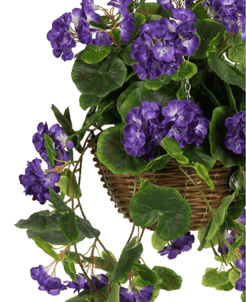 La Begonia Artificial Púrpura en Cesta UV de 70 cm presenta vibrantes flores de Begonia artificiales de color púrpura y exuberantes hojas verdes, que caen elegantemente en cascada desde una canasta tejida marrón para una exhibición realista y llamativa.