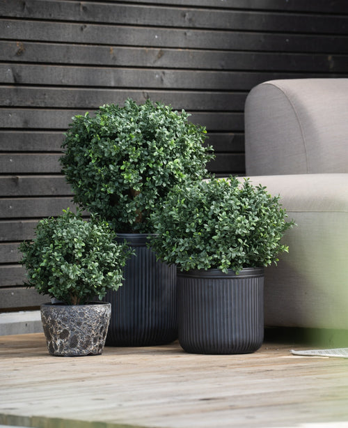 Tres Buxus artificiales redondos y verdes sobre tallo, arbustos UV d30 cm en macetas negras acanaladas se encuentran sobre una plataforma de madera junto a un sofá gris claro, con una pared de madera oscura detrás.