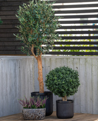 Una planta alta de boj artificial con tallo de estilo romano UV de 65 cm se alza con otras dos plantas en maceta (un arbusto redondo en una maceta negra y un brezo morado en una pequeña maceta de piedra) en un patio cerca de un muro de hormigón y una valla de listones de madera.