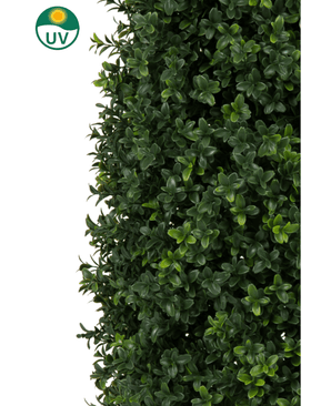 Close-up van Kunstplant Buxus Pyramide UV 120 cm toont dicht groen blad met kleine, ronde bladeren. Een cirkelvormig UV-beschermingssymbool met een gele zon linksboven benadrukt de UV-bestendigheid van de plant tegen een witte achtergrond.