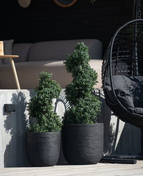 Dos plantas topiarias artificiales en espiral de boj estilo romano UV de 120 cm en maceteros con textura negra se encuentran afuera sobre un escalón de concreto, con una mecedora moderna y un sofá beige visibles al fondo.