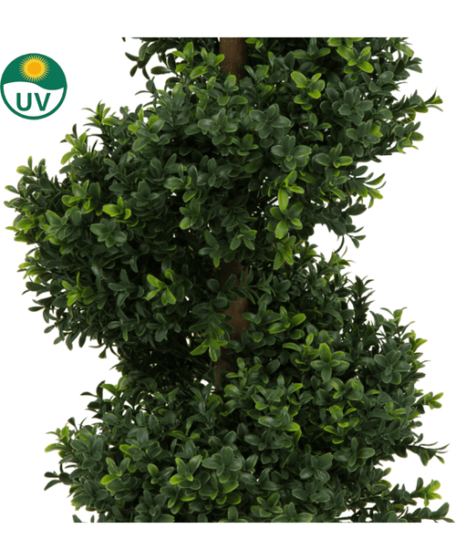 Detalle del Boj Artificial Espiral estilo Romano UV 90cm, una exuberante planta artificial de hojas densas y brillantes que crecen en espiral alrededor del tronco. Un logotipo UV con un ícono de sol en la parte superior izquierda indica resistencia a los rayos UV.