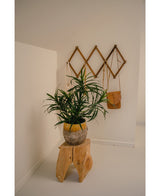 De Kunstplant Dracaena Reflexa in pot UV 63 cm siert een minimalistische kamer met witte muren, geplaatst op een naturel houten kruk. Een houten wandrek achter houdt een kleine bruine tas en crèmekleurige stoffen voor een tropisch interieur.