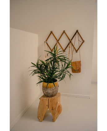 De Kunstplant Dracaena Reflexa in pot UV 63 cm siert een minimalistische kamer met witte muren, geplaatst op een naturel houten kruk. Een houten wandrek achter houdt een kleine bruine tas en crèmekleurige stoffen voor een tropisch interieur.