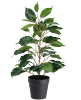 La Planta Artificial Ficus en Maceta 40cm es una planta artificial alta en maceta con múltiples ramas y hojas grandes de color verde brillante, presentada en una sencilla maceta negra sobre fondo blanco.