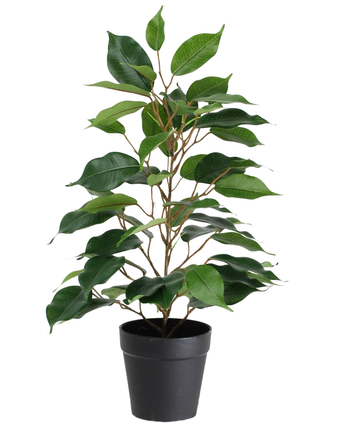 La Planta Artificial Ficus en Maceta 40cm es una planta artificial alta en maceta con múltiples ramas y hojas grandes de color verde brillante, presentada en una sencilla maceta negra sobre fondo blanco.