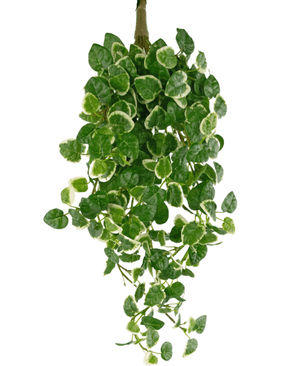 Planta artificial de pared Pumila 50 cm